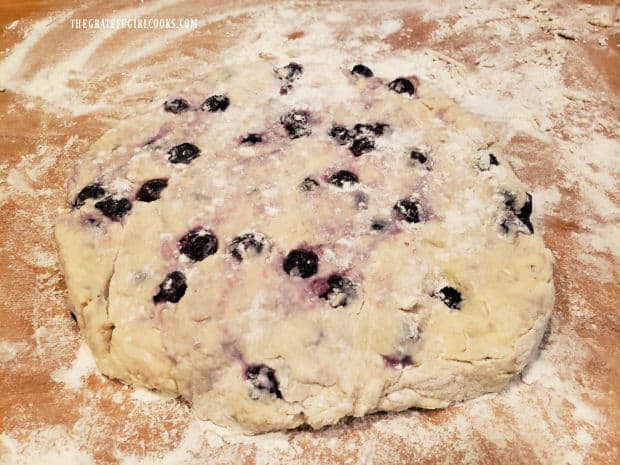 Dough is gently kneaded then it's ready for biscuits to be cut out.