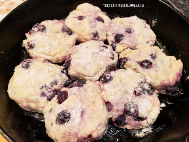 Biscuits are placed in a cast iron skillet, touching each other for baking.