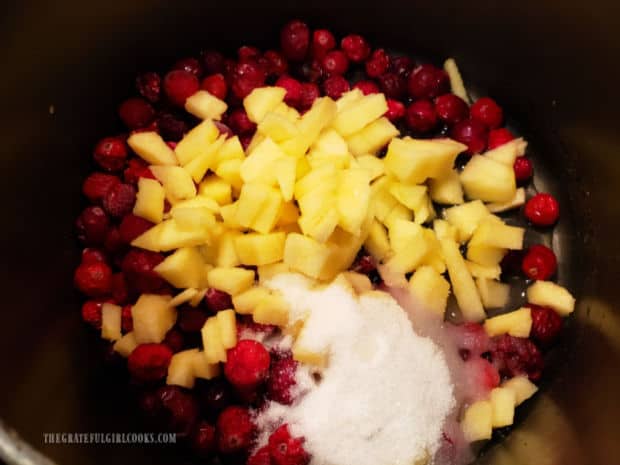 Cranberries, chopped apple, granulated sugar and water are placed in a medium saucepan.