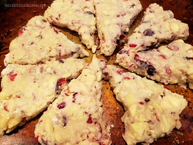Cranberry apple scones dough is cut into 8 wedges and put on a baking sheet to cook.