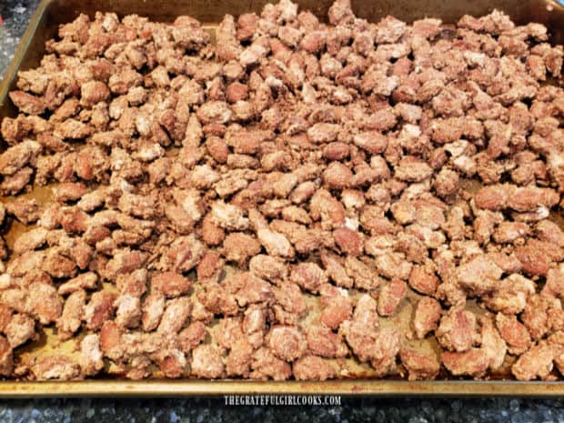 A baking sheet full of cinnamon glazed almonds, cooling to room temperature after baking.