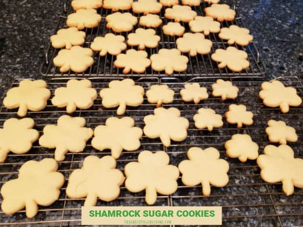 Make Shamrock Sugar Cookies for St. Patrick's Day! You'll love these soft cookies, which can be decorated with green icing (recipe included).