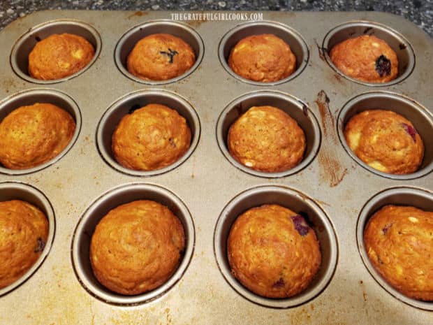 Baked banana blueberry oat muffins rest after being removed from oven.