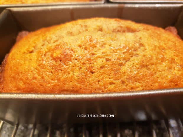 One loaf of the chocolate chip orange bread cools in the pan on a wire rack.