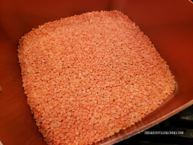 Red lentils are placed in saucepan, covered with water, then drained.