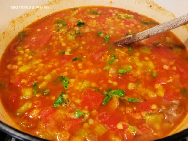 When hot, the Mexican red lentil soup is now ready to be served and enjoyed.