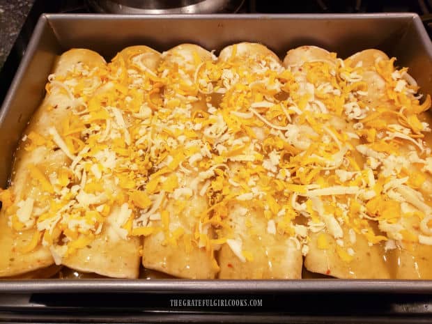 Grated jack and cheddar cheeses are sprinkled on top of the enchiladas.