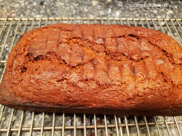 One loaf of carrot cinnamon nut bread, cooling on a wire rack after baking.