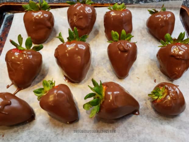 Chocolate covered strawberries resting on wax paper-lined baking sheet.