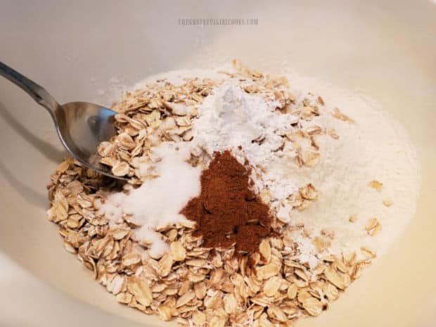 Flour, oats, sugar, baking powder and cinnamon are mixed in white bowl.