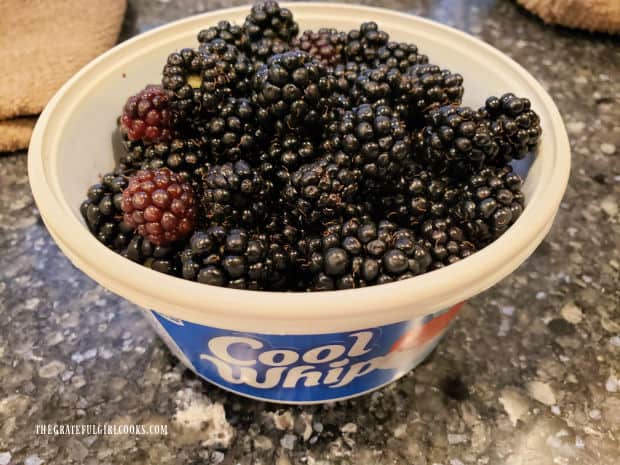 Fresh picked blackberries will be used to make the mini cobblers.