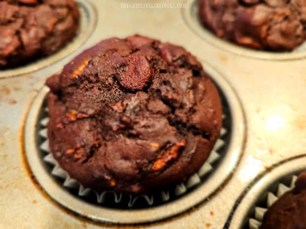 Chocolate Zucchini Muffins rest after baking for 30 minutes.