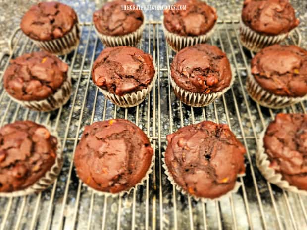 A dozen chocolate zucchini muffins cooling on a wire rack.