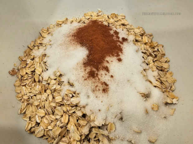Oats, granulated sugar, cinnamon and salt are combined in large bowl.