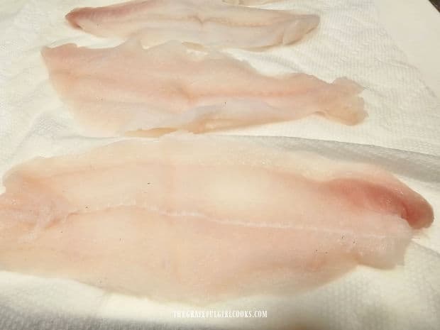 Dover sole fillets on paper towels, to absorb excess moisture.