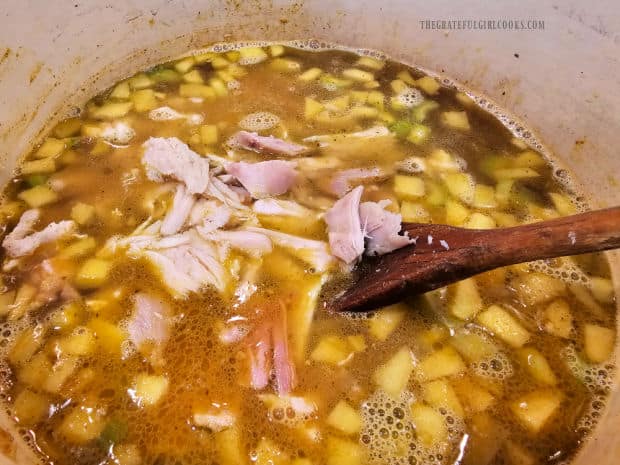 Shredded cooked turkey and chicken broth is stirred into the soup.