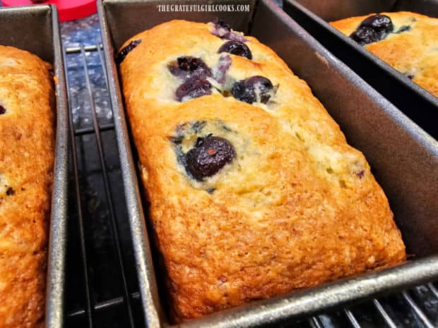 The mini-loaves of baked blueberry banana bread in their baking pans.