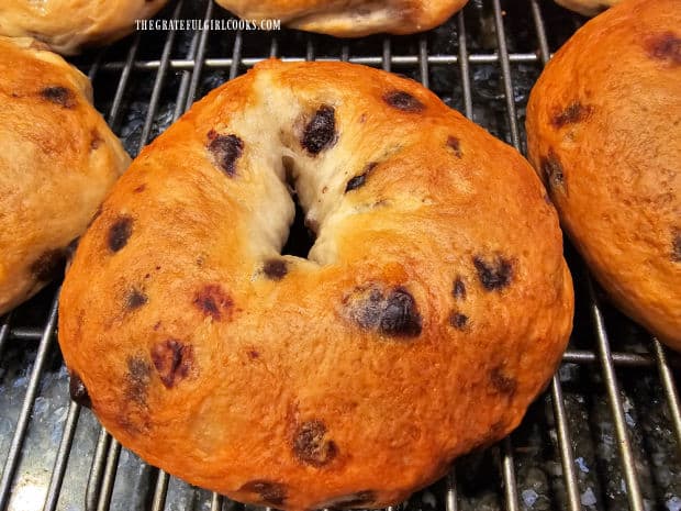 A close up of one of the chocolate chip bagels on a wire rack.