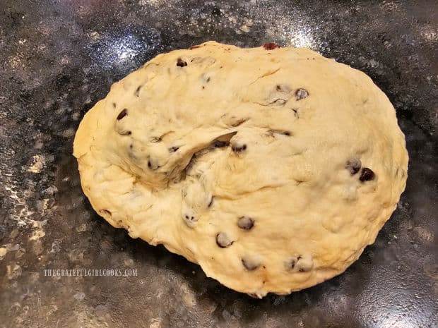 After kneading, dough is placed in greased bowl and covered, to let rise.