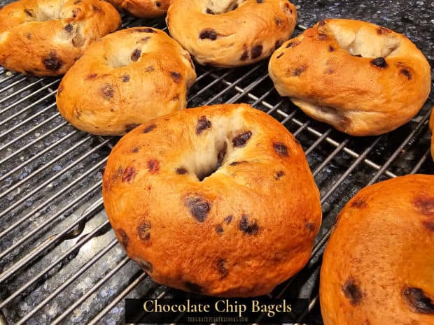 Make homemade NY-style Chocolate Chip Bagels at home. They're filled with mini chocolate chips, and are absolutely delicious! Recipe makes 8.