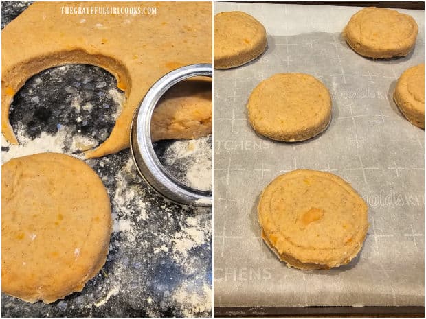 Biscuit dough is cut into eight circles using biscuit cutter or jar screwband.