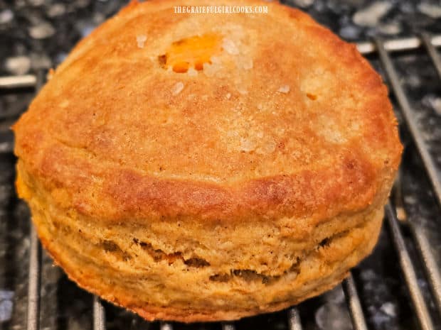 A close up of a sweet potato biscuit, with flecks of sea salt on top.