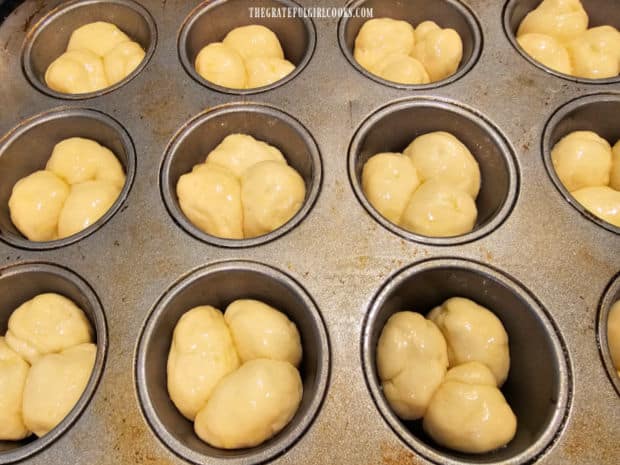 After the dough rises again, cloverleaf dinner rolls are ready to bake.