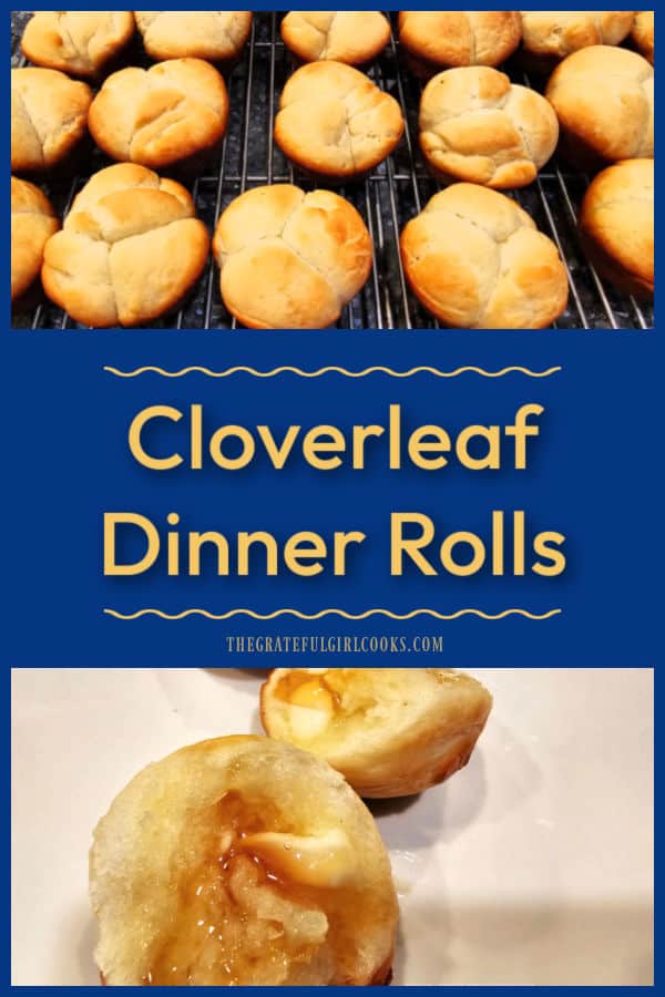 Cloverleaf Dinner Rolls are classic "pull apart" yeast rolls shaped like leaves of a clover plant. This delicious recipe makes 2 dozen rolls.
