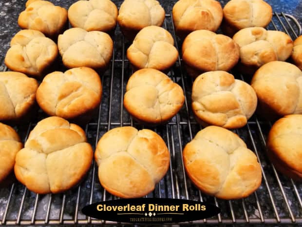 Cloverleaf Dinner Rolls are classic "pull apart" yeast rolls shaped like leaves of a clover plant. This delicious recipe makes 2 dozen rolls.