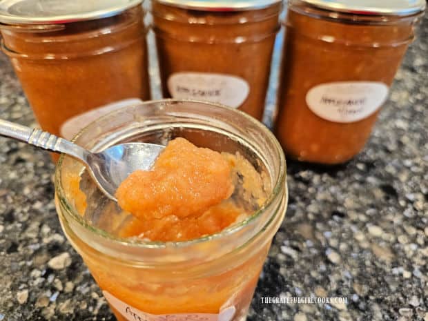 A spoonful of the applesauce after a jar has been opened.