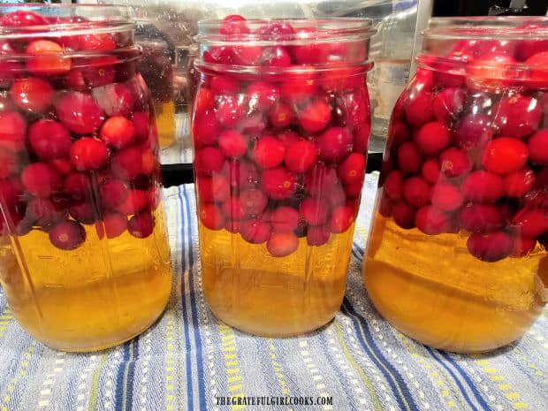 Warm apple cider (or juice) is poured into the jars with sugar and cranberries.