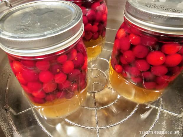 Jars of apple cranberry juice are processed in a hot water bath for 20 minutes.