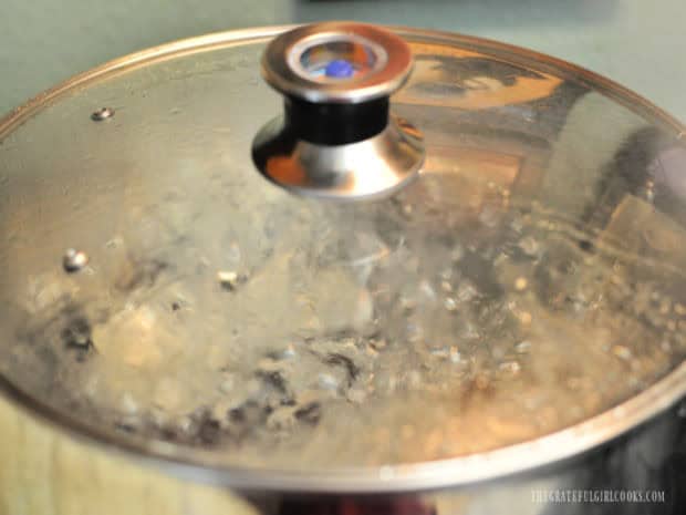 Water is gently boiling while the canner is processing jars of apple cranberry juice.