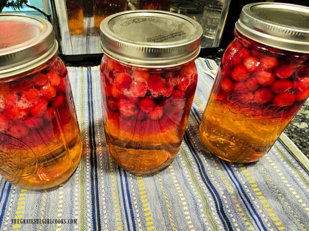 Jars of juice out of the canner and ready to store in a dark place for 4-6 weeks.