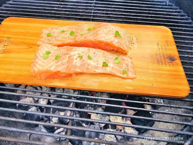 The grilled plank salmon cooks over a bed of hot coals on a BBQ.