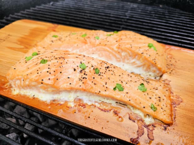 Two grilled cedar plank salmon fillets rest after they are fully cooked.