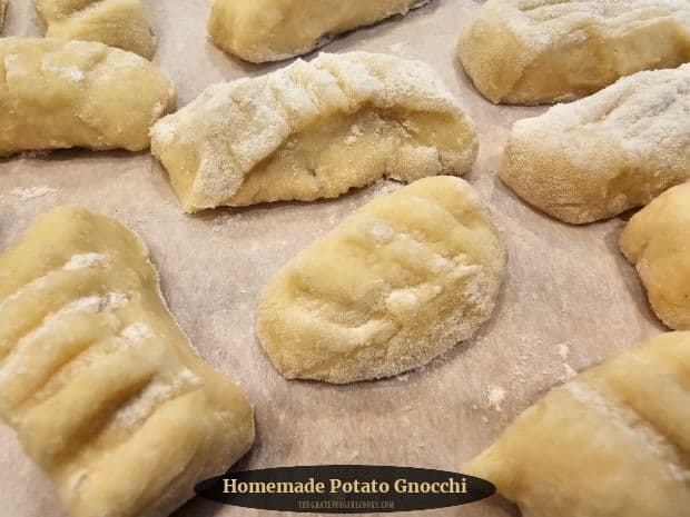 Homemade Potato Gnocchi are made from scratch with mashed potato, flour and an egg. Gnocchi can be served, covered in a variety of sauces!