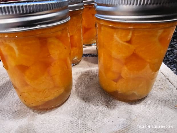 Finished jars of canned mandarin oranges cool on a dish towel on counter.
