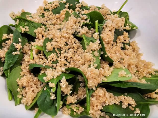 Room temperature, cooked quinoa is added to baby spinach leaves in bowl.