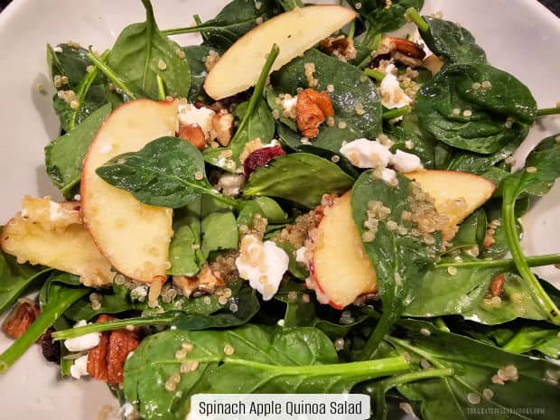 Spinach Apple Quinoa Salad