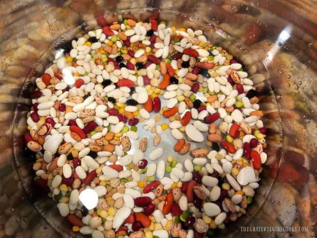 Beans were pre-cooked in water in an Instant Pot.