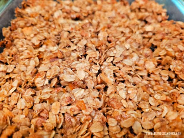 A pan of crunchy oatmeal marmalade bars sliced into 16 pieces.