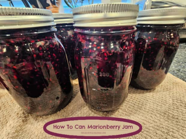 Learn how to can Marionberry jam, a delicious fruit jam for toast, biscuits and scones. Recipe yields 5 pint-sized jars, ready for pantry storage.