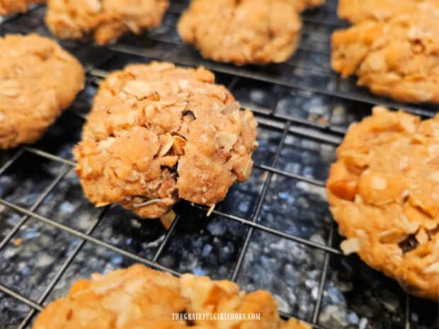 A close-up of one of the maple coconut oatmeal cookies cooling on a wire rack.