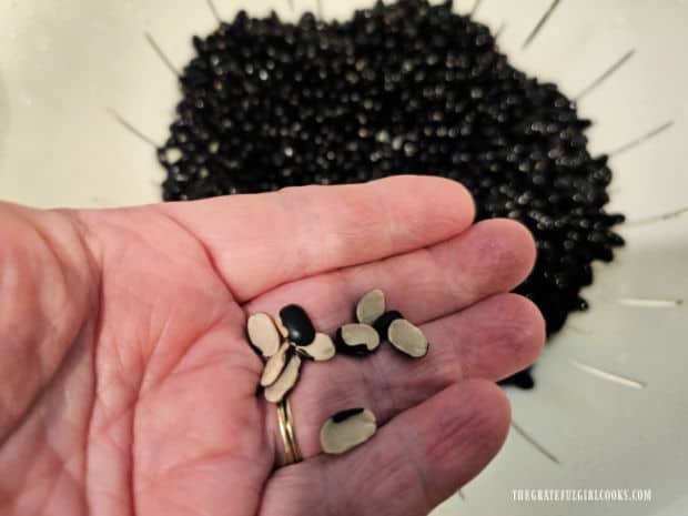 Broken beans and any tiny rocks are pulled out and discarded before cooking.