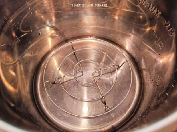 A cup of water and trivet are added to the inner pot of the Instant Pot appliance.