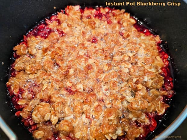 Make a scrumptious Instant Pot Blackberry Crisp using fresh or frozen berries! Topped with crisp buttery streusel, you'll love this dessert! 