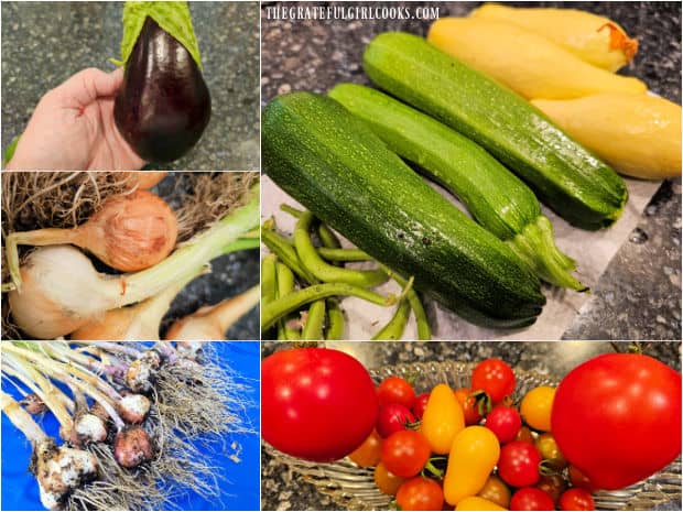 Eggplant, zucchini, yellow squash, onions, garlic and tomatoes are used to make ratatouille.
