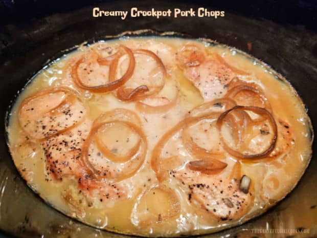 Creamy crockpot pork chops are a delicious, minimum prep dish! They're pan-seared, then slow cooked in a mushroom onion gravy until tender!