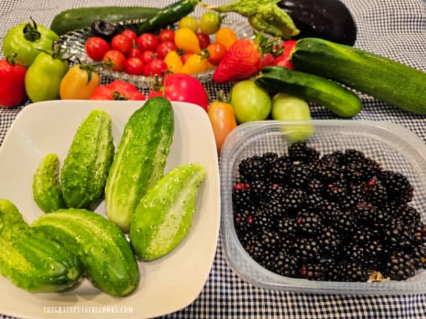 Refrigerator Dill Pickle Slices - The Grateful Girl Cooks! Fresh veggies and fruit from our garden, including some pickling cucumbers.